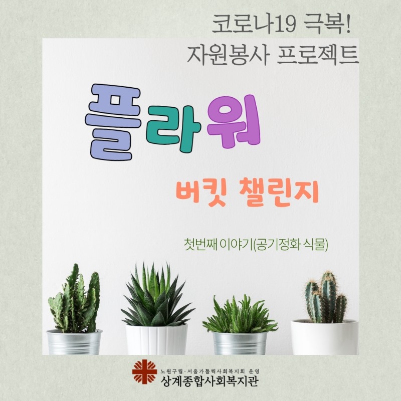 두번째버전-플버채르-1.jpg