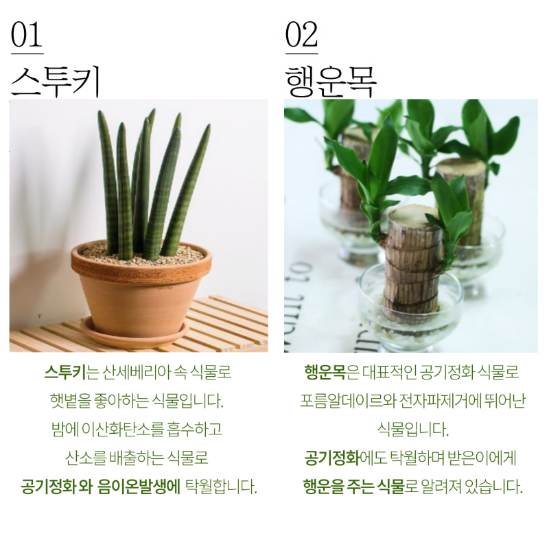 두번째버전-플버채르-3.png