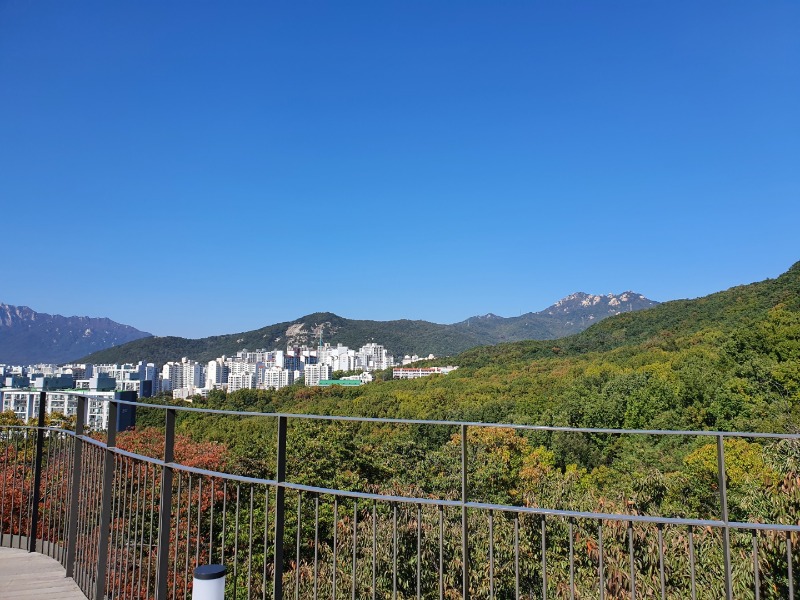 KakaoTalk_20221019_191840254_02 (1).jpg
