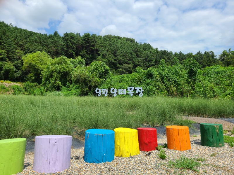 KakaoTalk_20230807_181201698_22.jpg