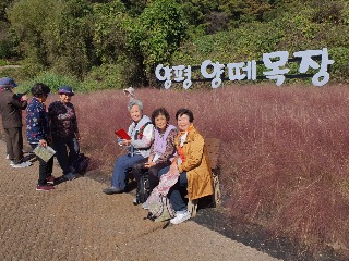 KakaoTalk_20231107_190447405_24.jpg