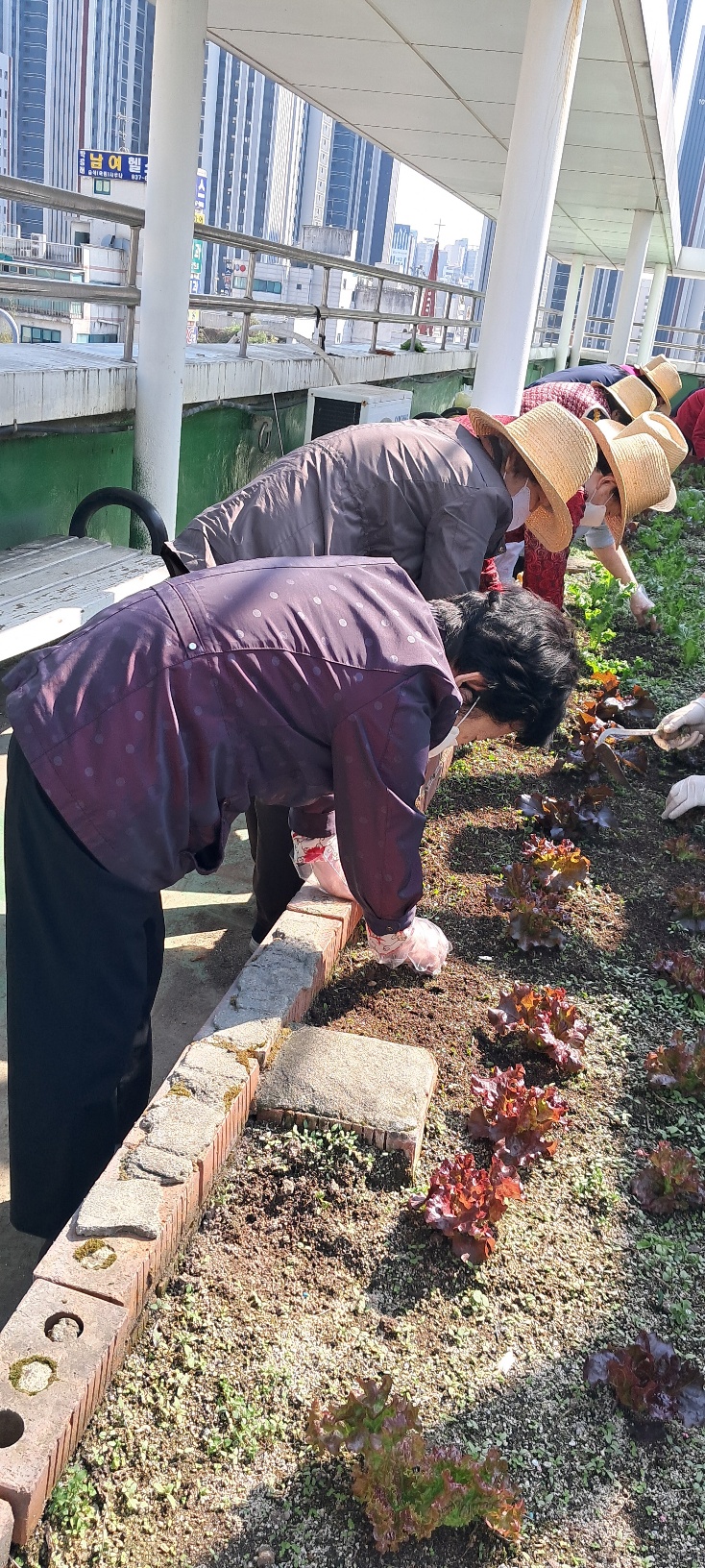 KakaoTalk_20250429_160618597_08.jpg