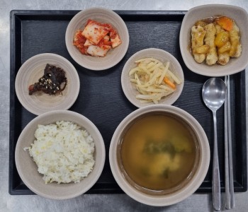 KakaoTalk_20250509_133233422.jpg