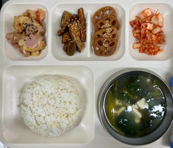 KakaoTalk_20260807_110228022.jpg
