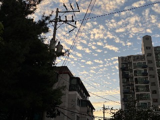 KakaoTalk_20260911_174800441_01.jpg