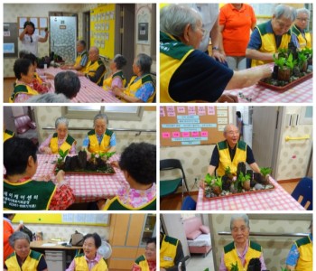 [원예] 풍란 화분 만들기 이미지