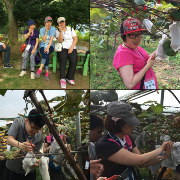 (0907) 포도밭 활동 이미지