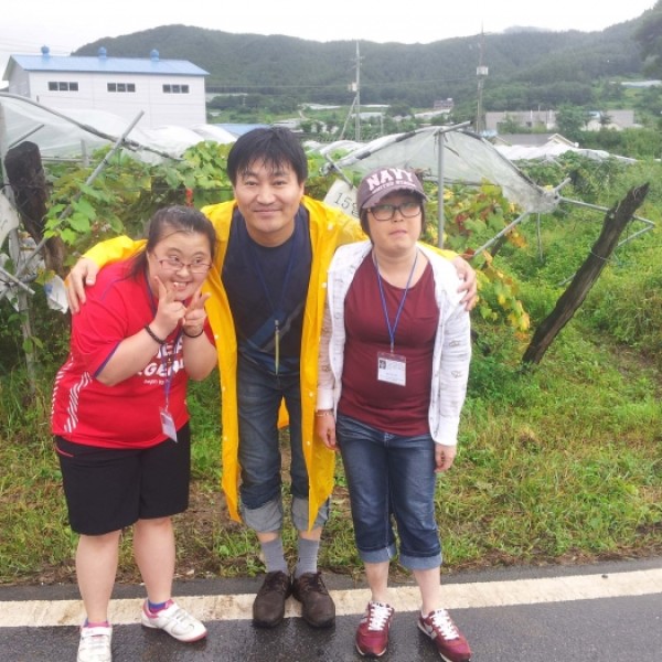(0913)포도밭 활동 이미지